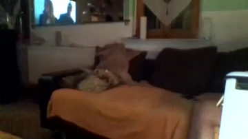themike123  30-09-2021 Recorded Video Topless
